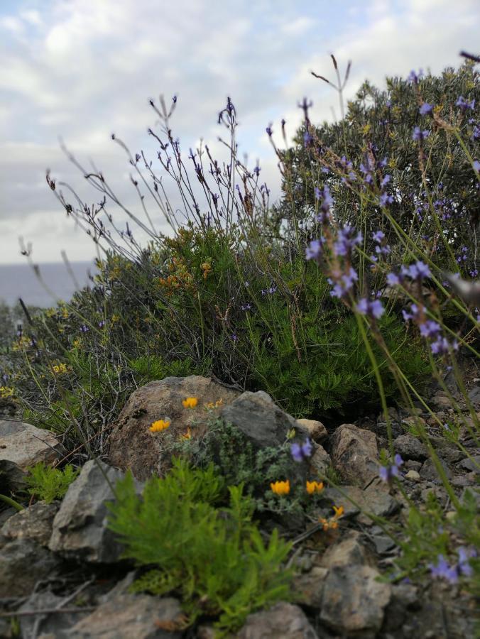 La Casita Del Sendero