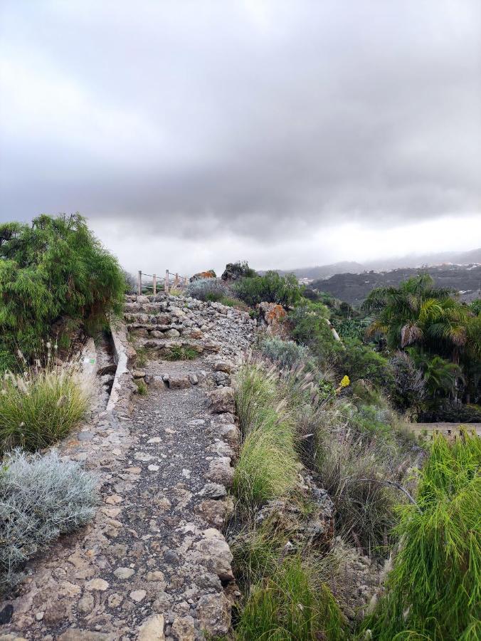 La Casita Del Sendero La Guancha